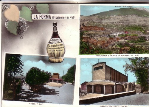 Forma serrone viaggiata - la,